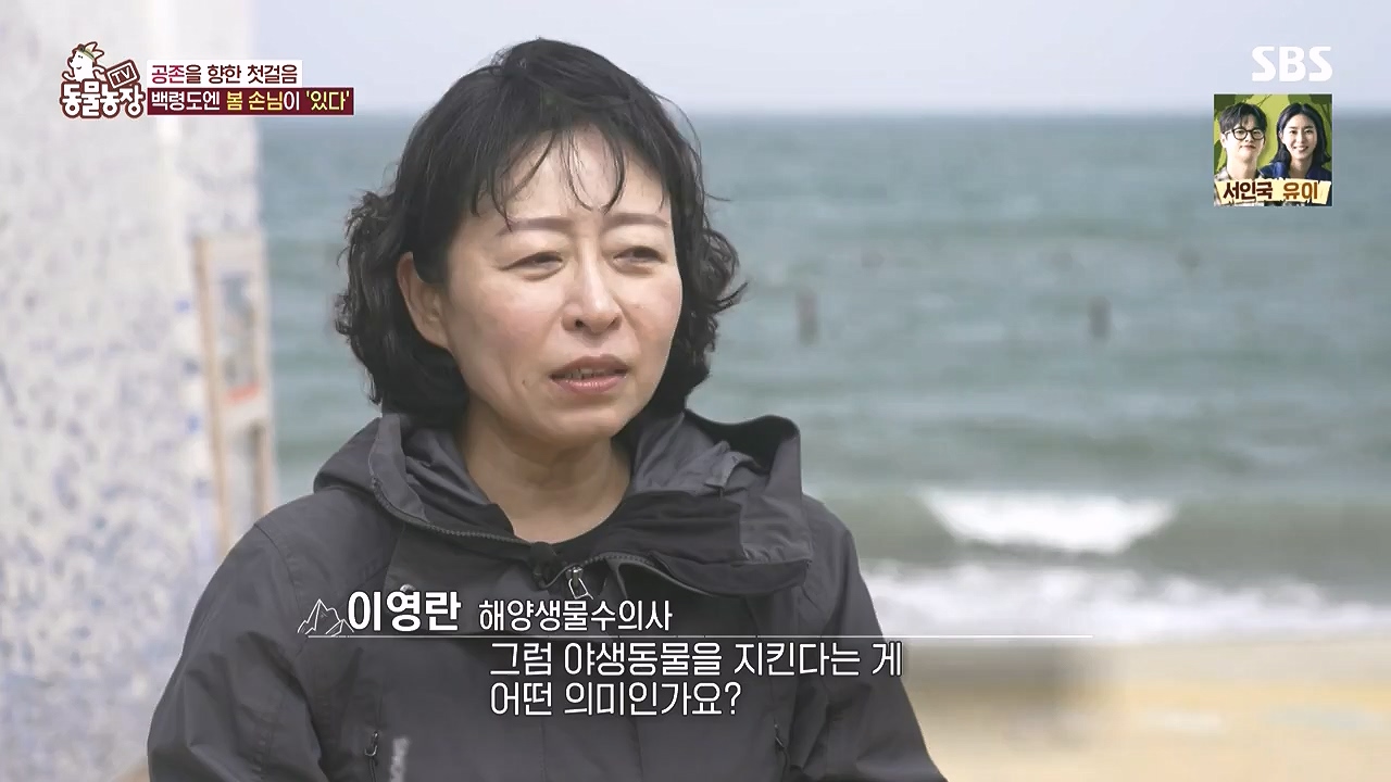TV 동물농장.E1183.240805p-NEXT.mp4_20240804_155000.835.jpg
