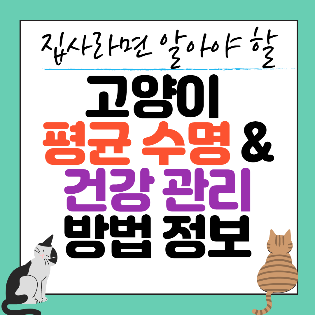 고양이 수명] 집고양이 수명에 대해서 알아보기, 나이 계산기 (Feat. 노령묘 건강관리 하는 방법)