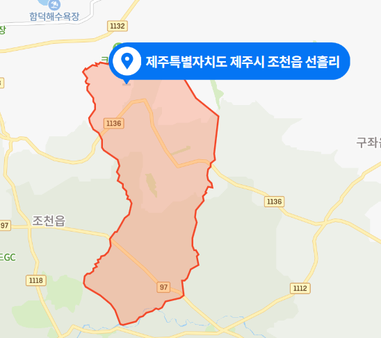  제주시 조천읍 선흘리 음주운전 뺑소니 사망사건 (2021년 4월 14일)