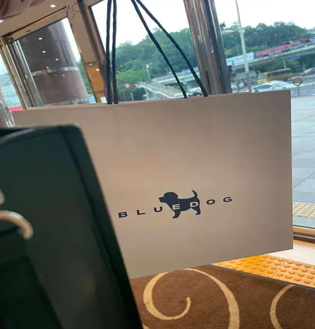롯데백화점 일산점