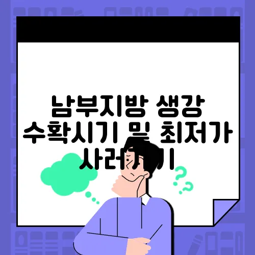 남부지방 생강 수확시기 및 최저가 사러가기