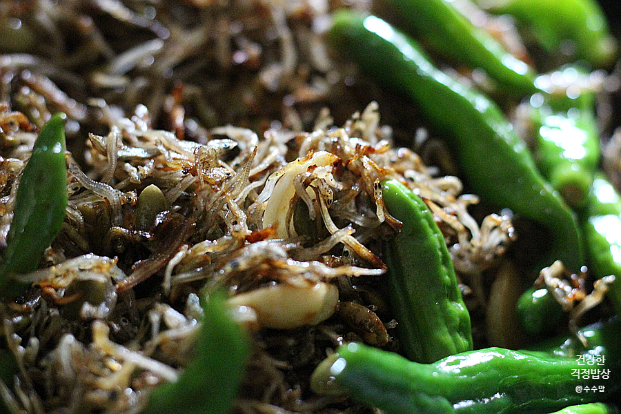 그 효능과 하루권장량 체크 마그네슘 폭탄 호박씨와 멸치 3