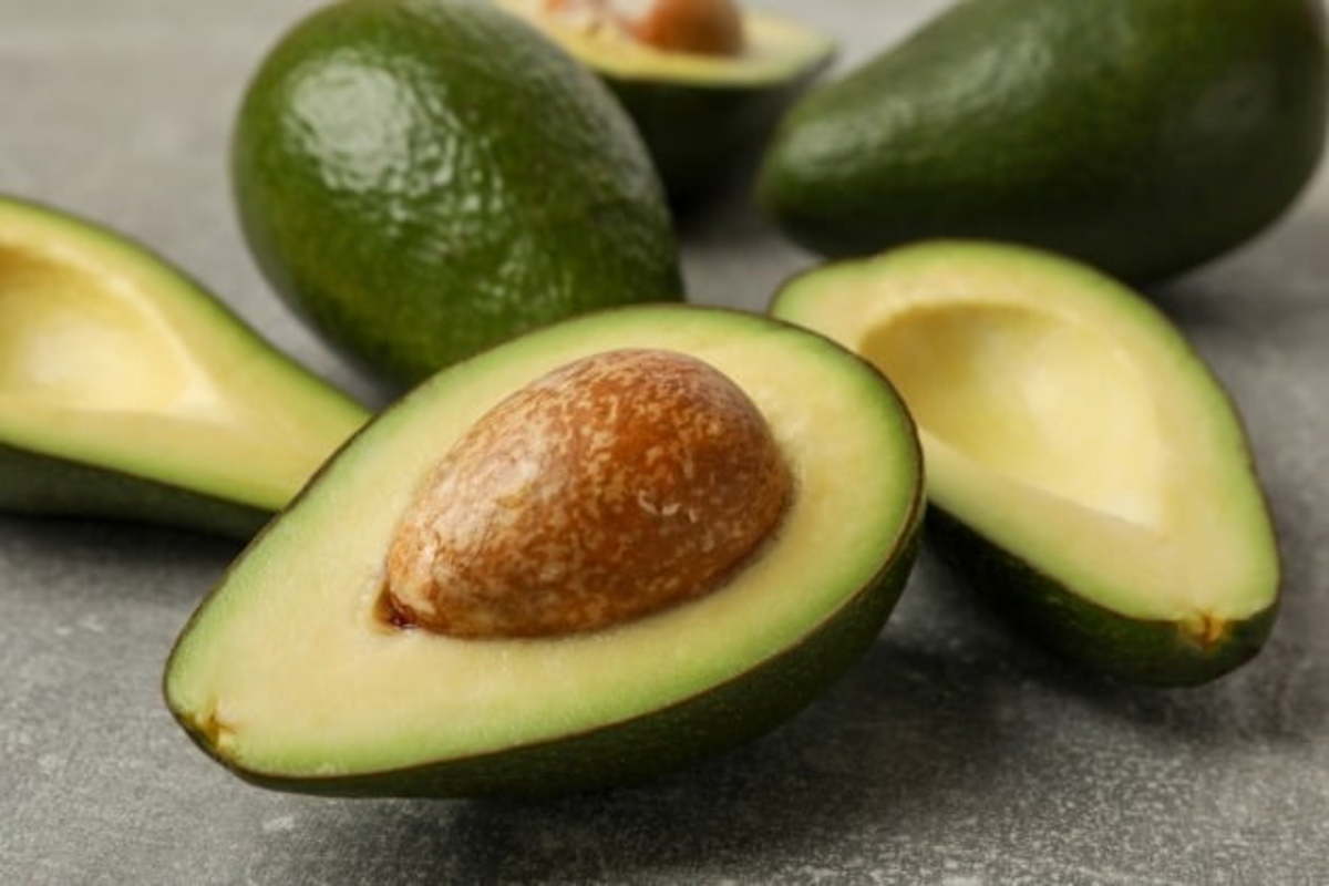 과일 아보카도(Avocado)