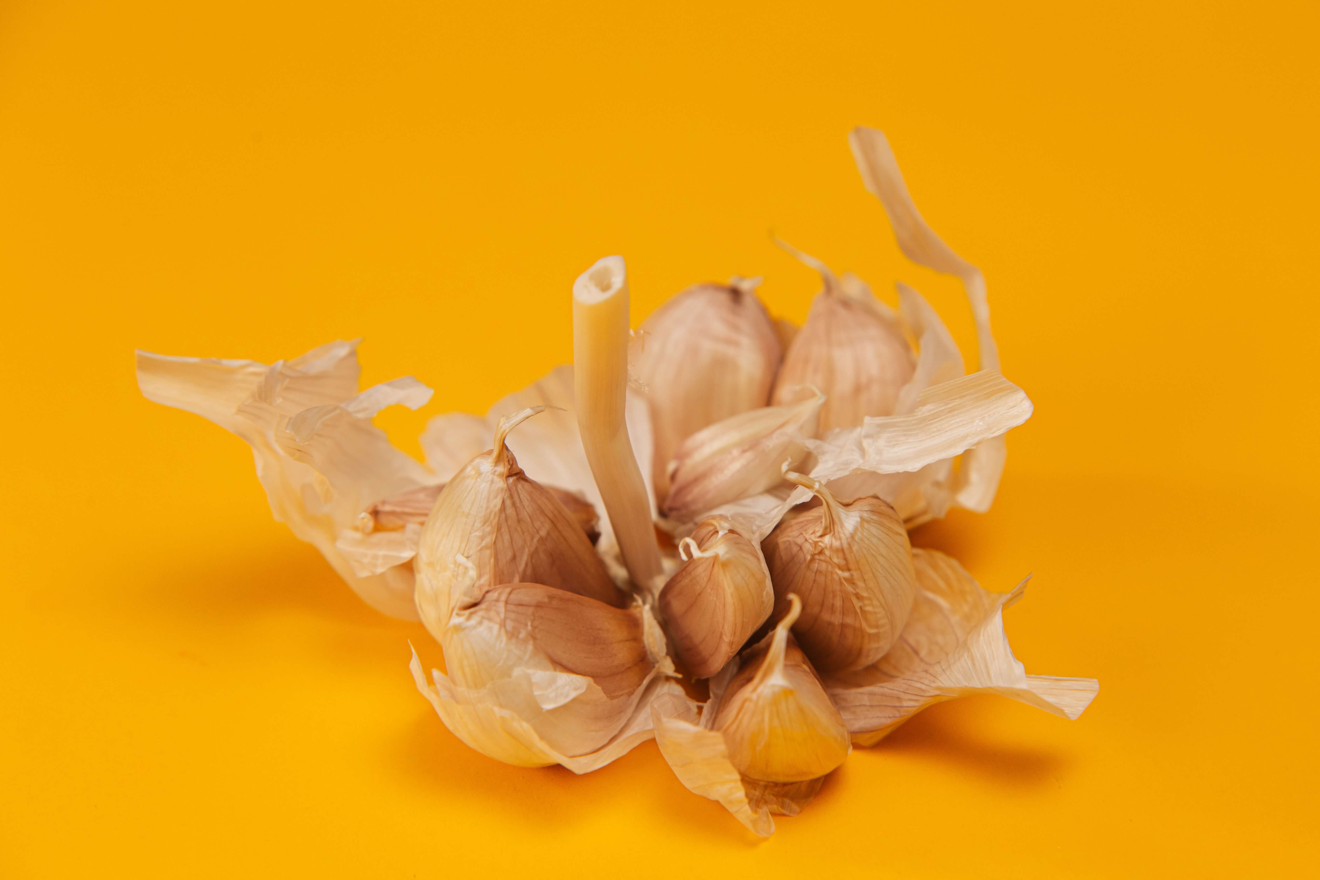 폐암에 좋은 음식 - 마늘