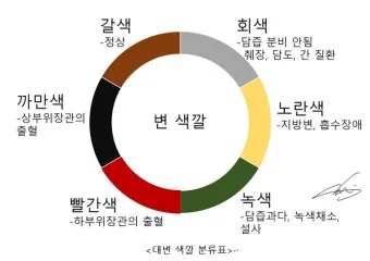 변색깔 건강 붉은색변 초록색변 검은색변_42