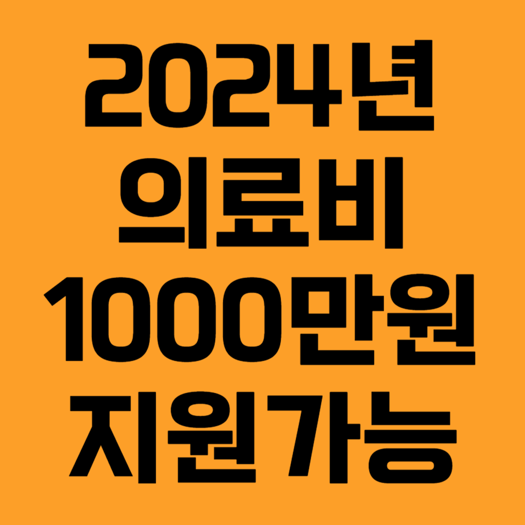 2024년 의료비 최대 1000만원 지원 신청방법 절차 주의사항