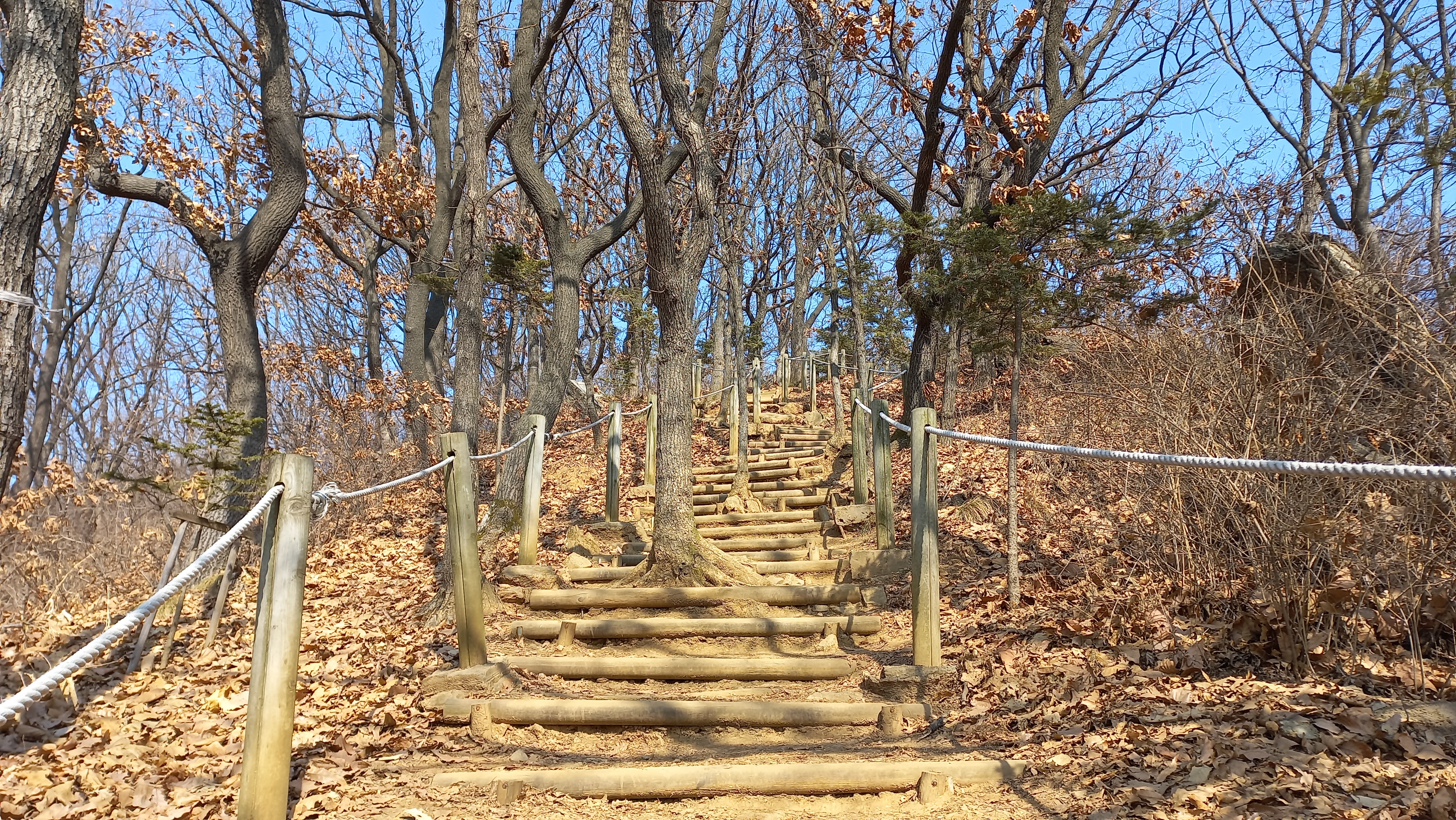 광명 산책하기 좋은 곳, 도덕산 캠핑장과 도덕산 정상 - 휴식같은 여행으로의 초대 이미지