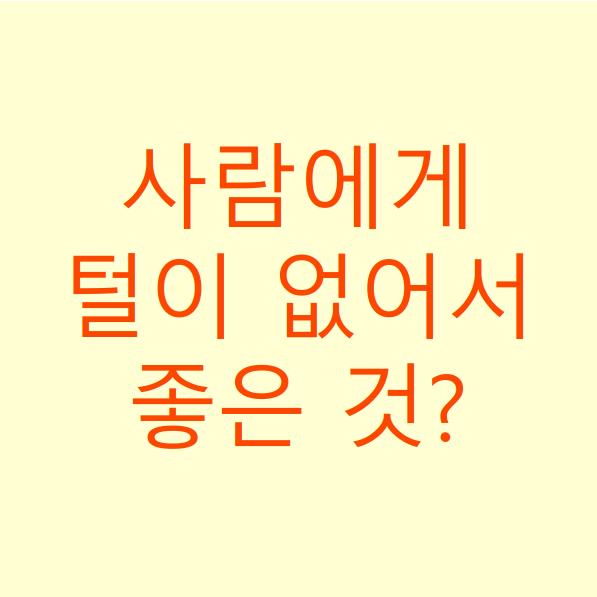  사람에게 털이 없어서 좋은 점