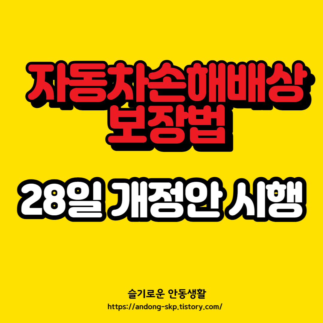  자동차손해배상 보장법 개정안 정리