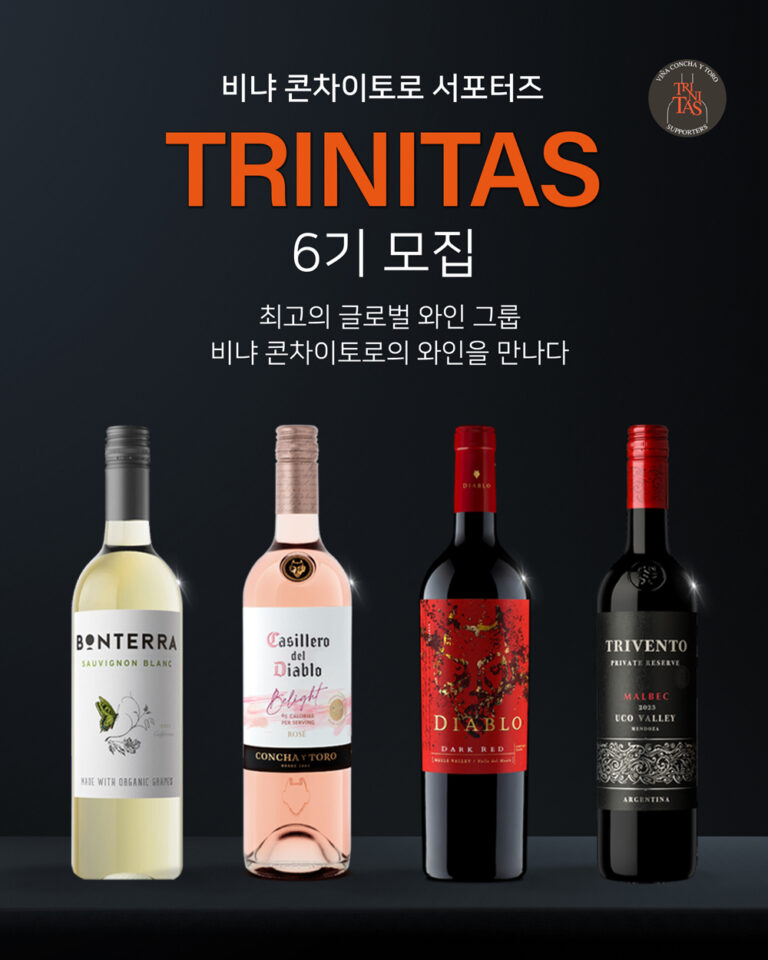 트리니타스 이미지