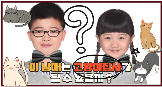  [경매사의 사생활] 까부리와 까순이는 고양이집사가 될 수 있을까?