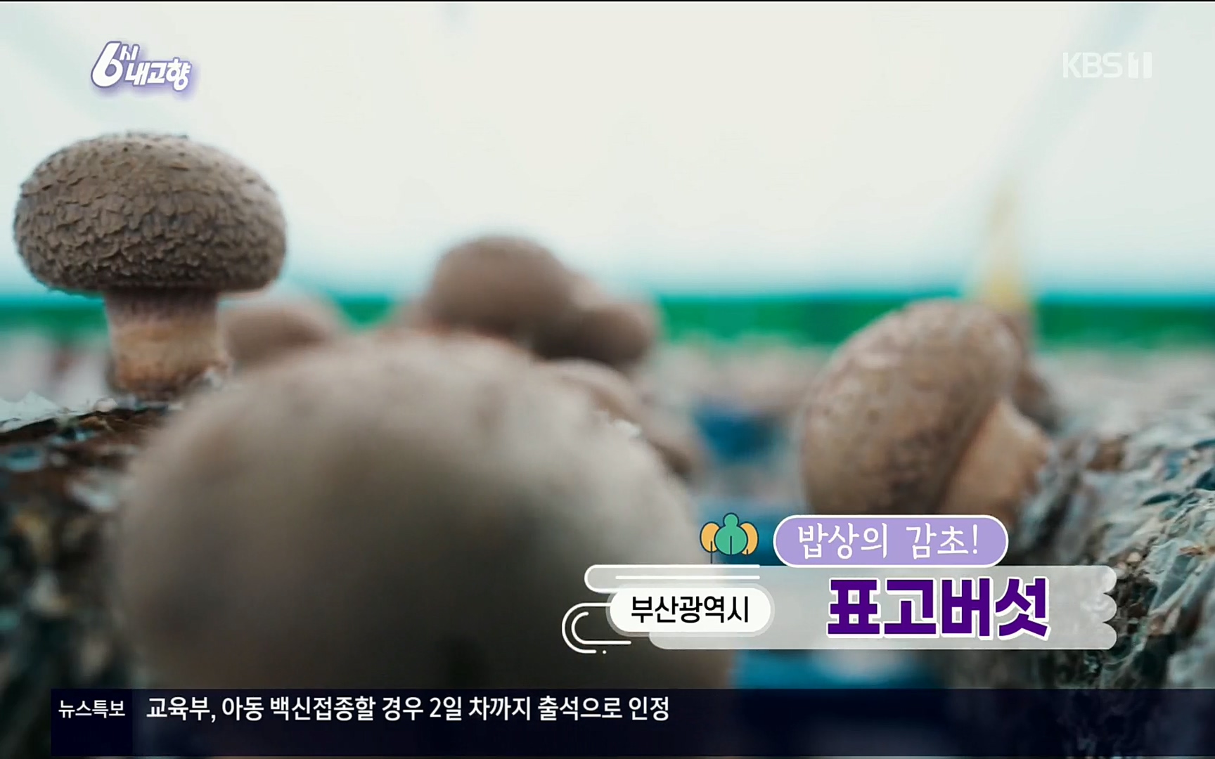 6시 내고향.E7496.220324p.H264-F1RST.mp4_20220328_174518.289.jpg