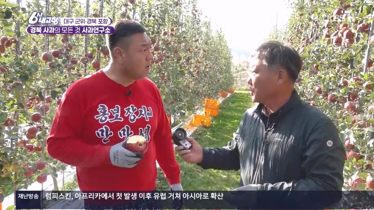 6시 내고향.E7907.231108p.H264-F1RST.mp4_20231108_204725.371.jpg