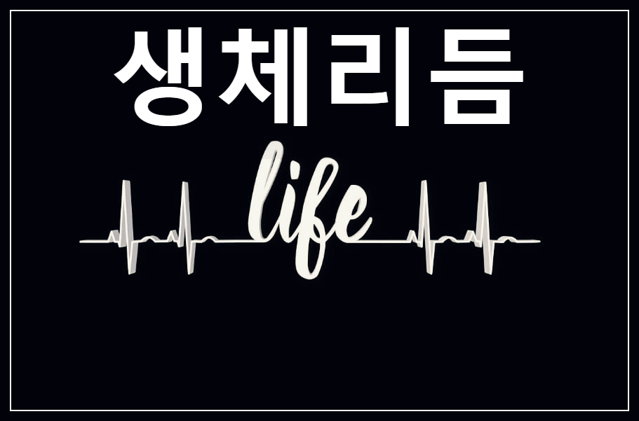  생체리듬 : 생물체가 일정주기로 반복하는 생리 및 행동적 패턴