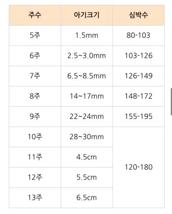 술시는 몇시일까 자시 몇시 한국 전통 시간 알아보기_9