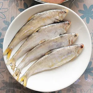 밴댕이 소갈딱지 뜻 사용 방법 용례 예시_4