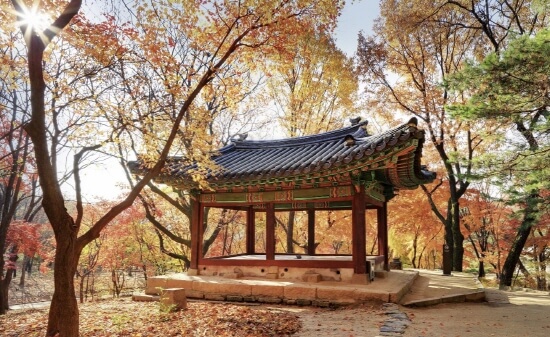  서울 가을 여행지 단풍 명소 가볼만한 곳 추천 BEST 14