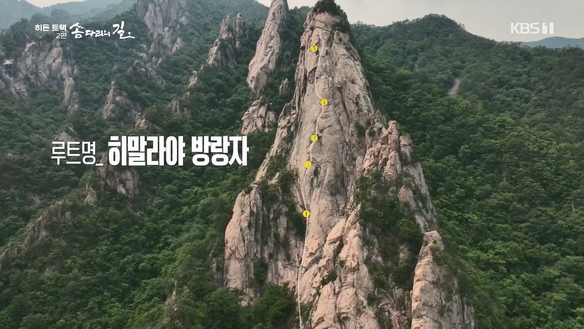 다큐 인사이트.E02.231215p.H264-F1RST.mp4_20231216_183604.436.jpg