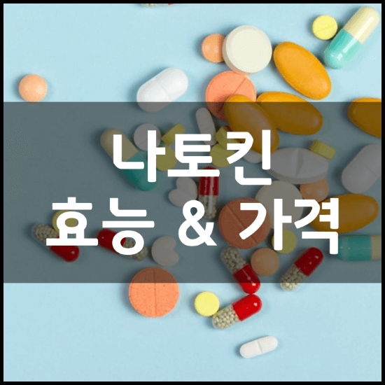 웰릿-나토킨-성분-효능-부작용-먹는-방법-4가지-가격-정리-썸네일