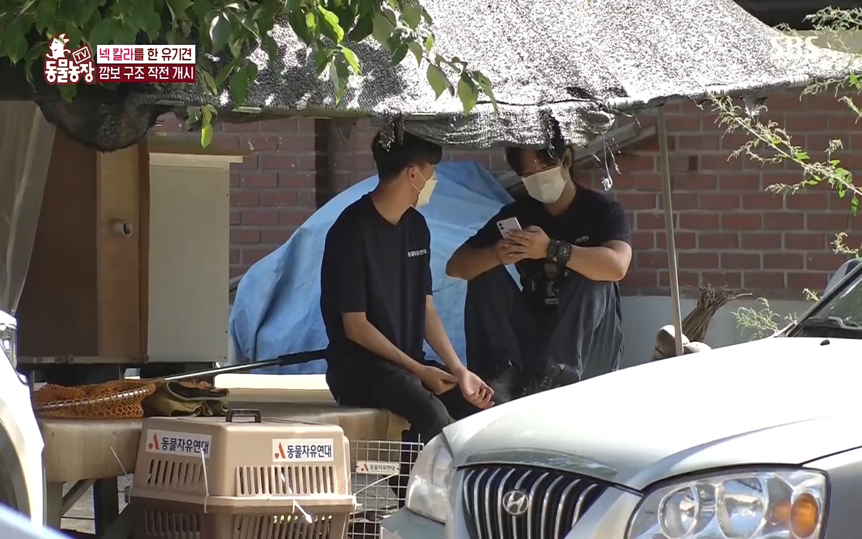 TV 동물농장.E1089.221002p.H264-F1RST.mp4_20221002_181935.015.jpg