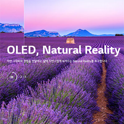  OLED 관련주 LG디스플레이 2023년 하반기 주목 섹터