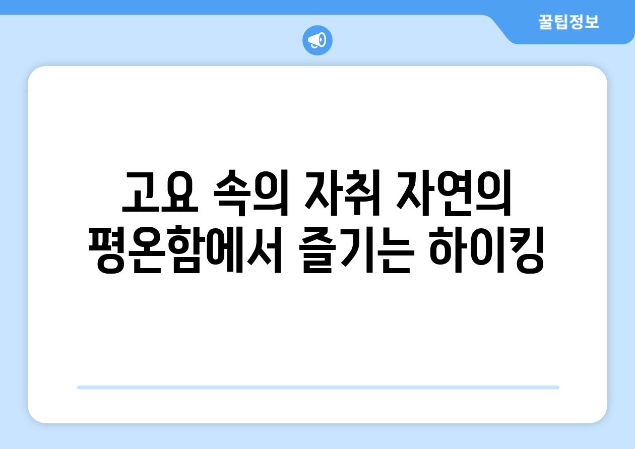 고요 속의 자취 자연의 평온함에서 즐기는 하이킹