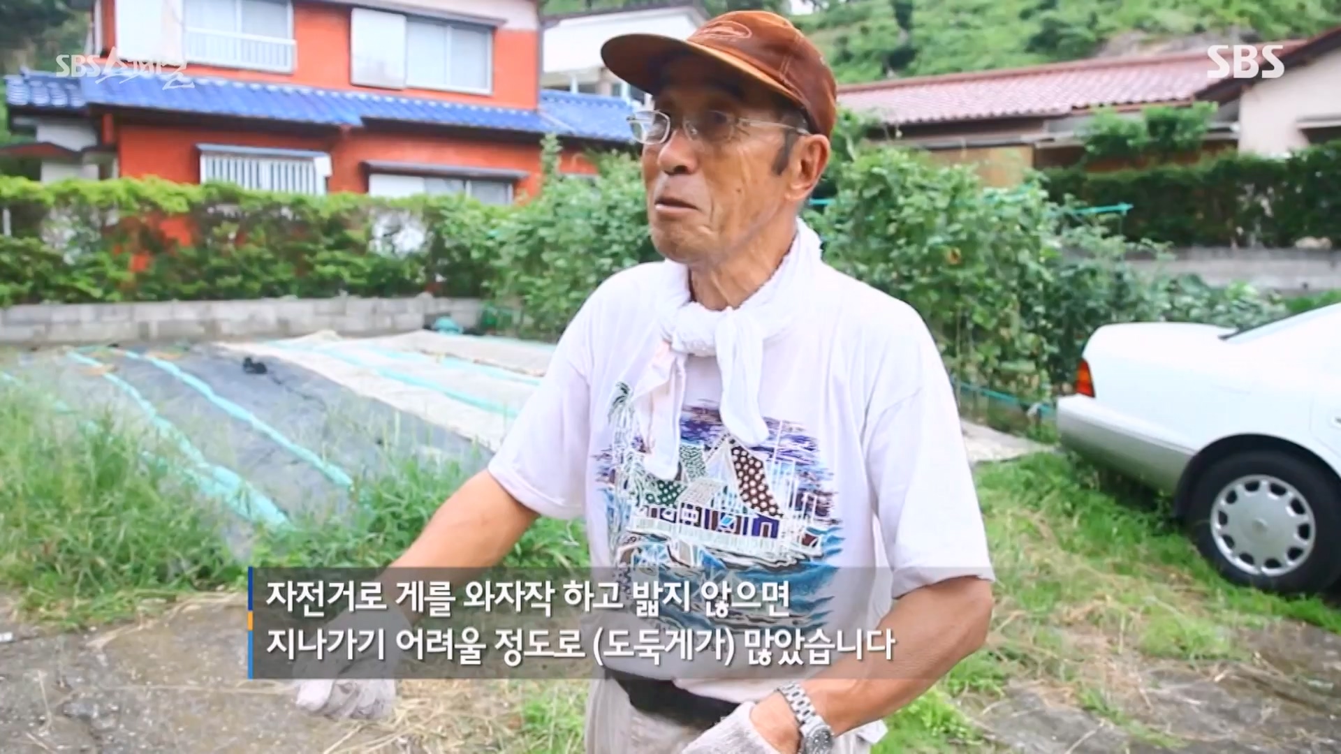 일요특선 다큐멘터리.E344.240310p-NEXT.mp4_20240310_160127.882.jpg