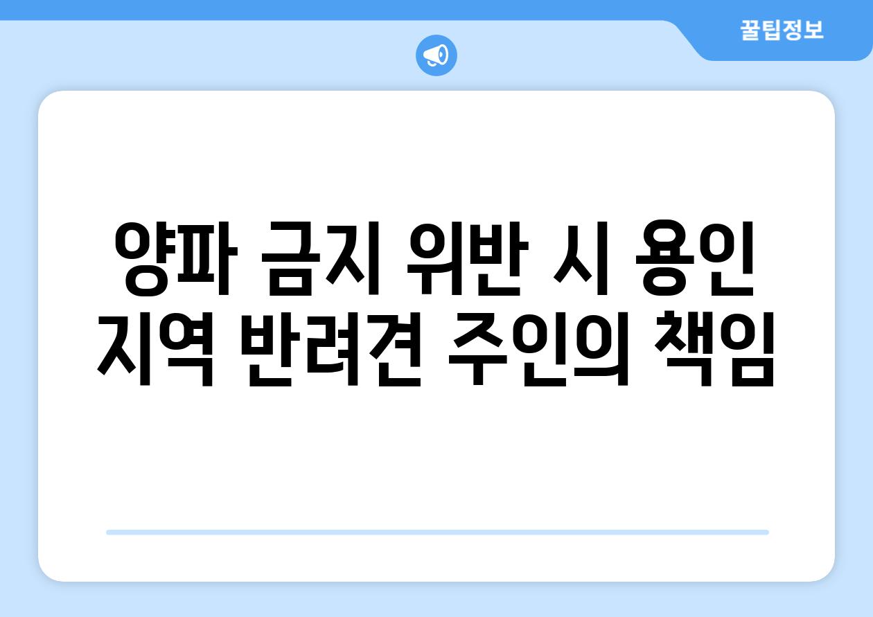 양파 금지 위반 시 용인 지역 반려견 주인의 책임