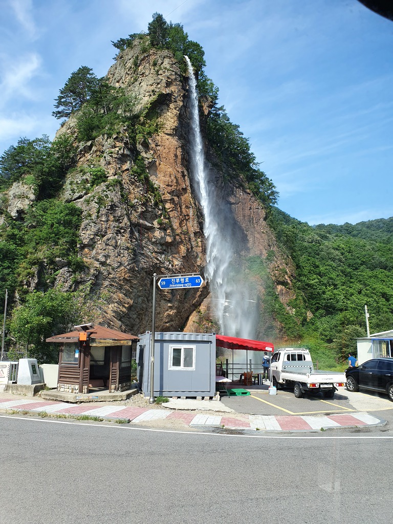 정상 정자 이미지