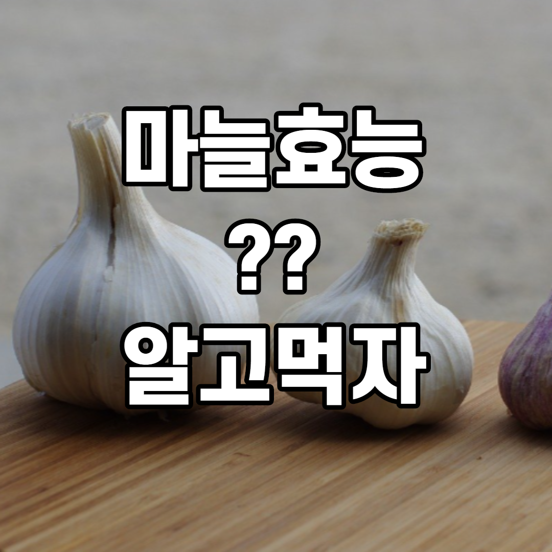  마늘 효능 간단정리 추가내용 포함
