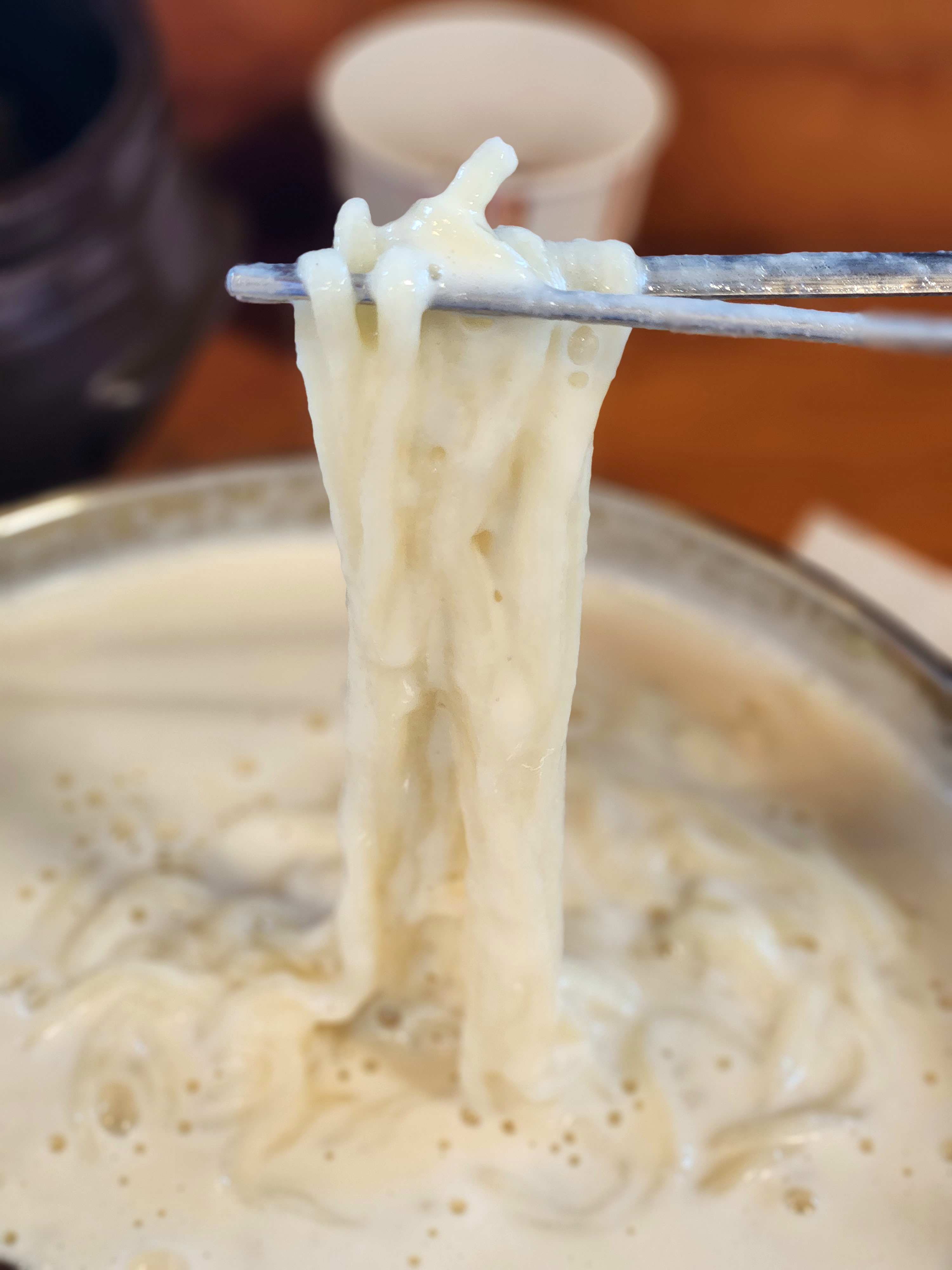 조치원 맛집 양평칼국수 콩국수