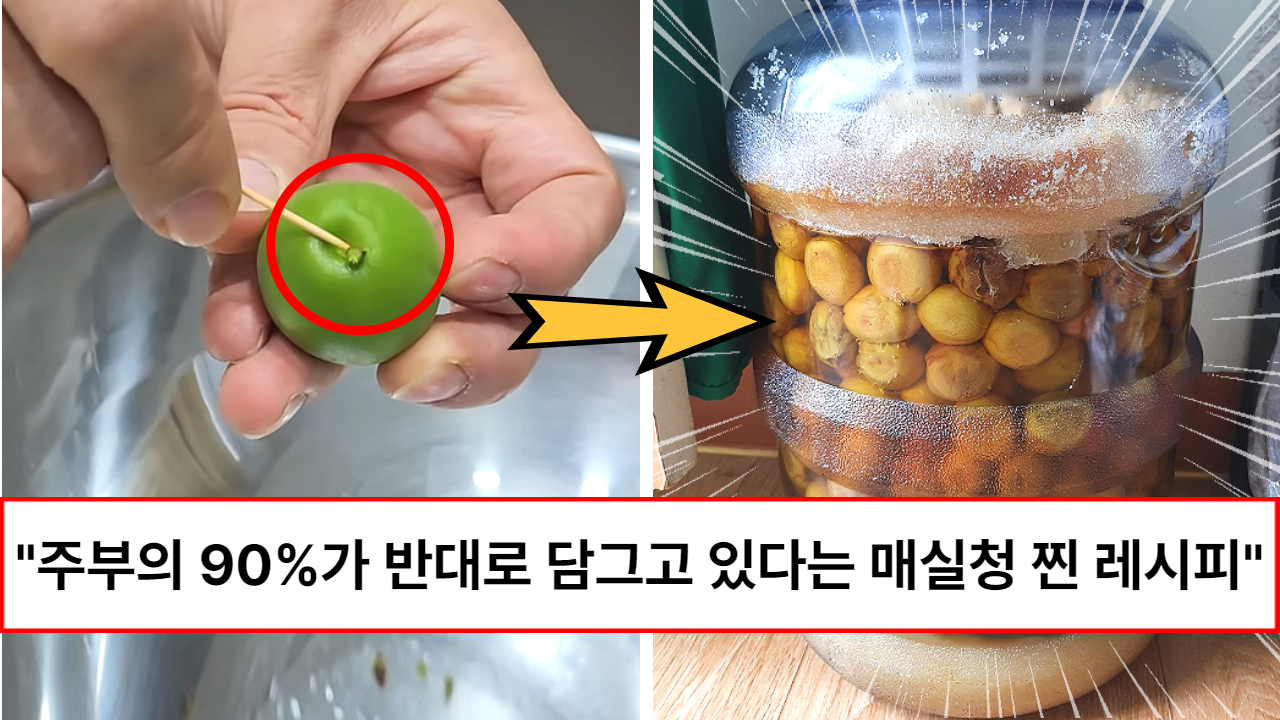 “씻는 방법부터 설탕 비율까지 다 알려드립니다” 30년 매실농장 주인이 알려주는 매실청 제일 맛있게 담그는 비법