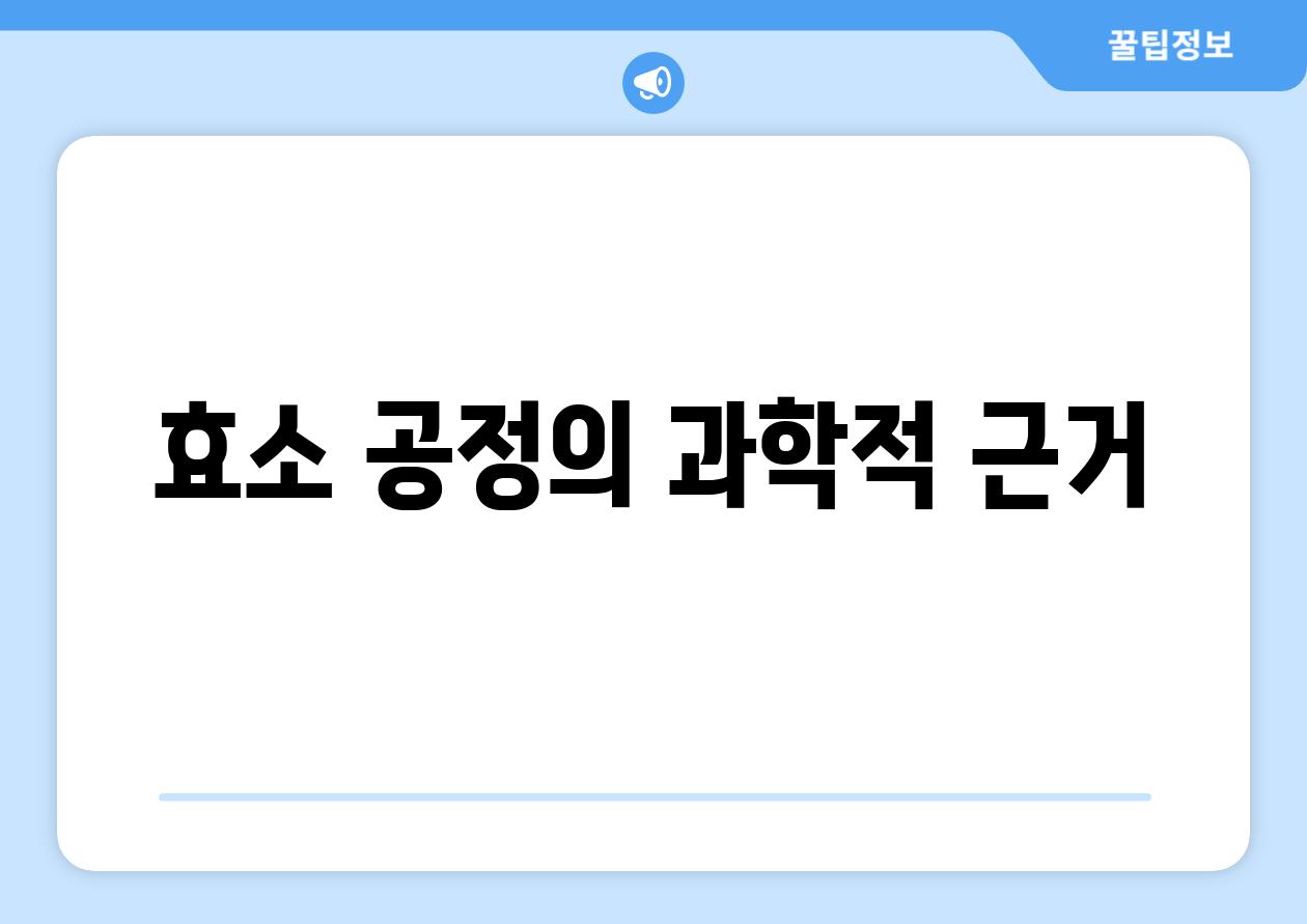 효소 공정의 과학적 근거