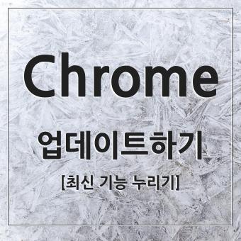  Chrome 크롬 최신 업데이트 방법 및 확인하는 법