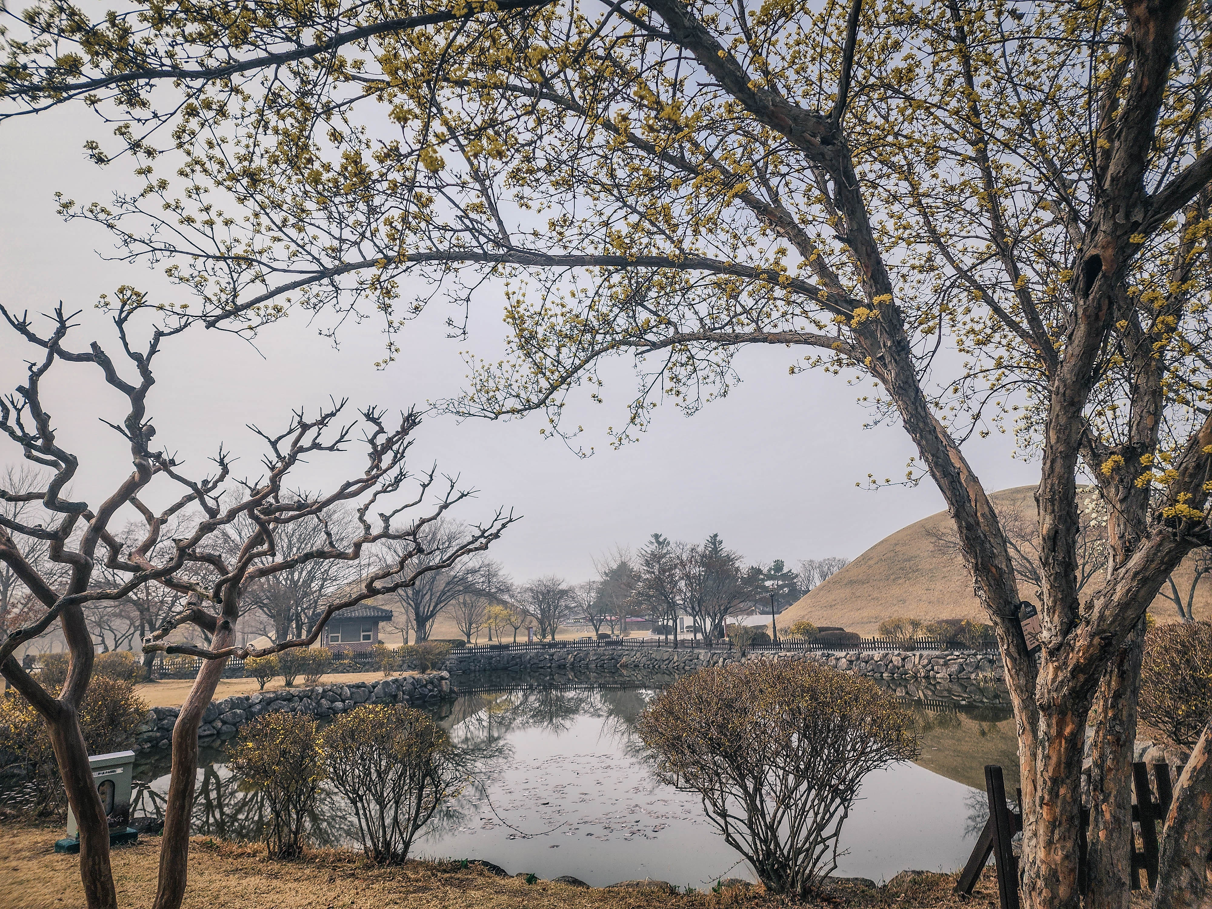 대릉원-호수