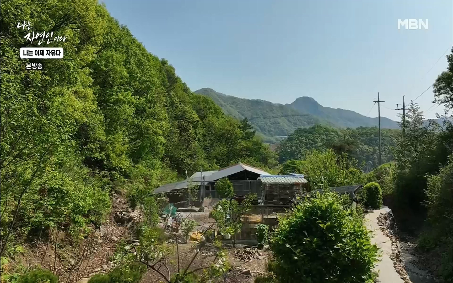 나는 자연인이다.E503.220525p.H264-F1RST.mp4_20220526_201142.106.jpg