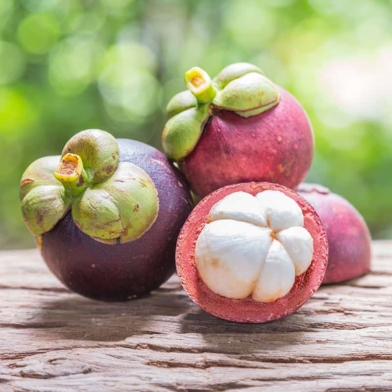  망고스틴 Mangosteen 에 대해서 알아볼게요.