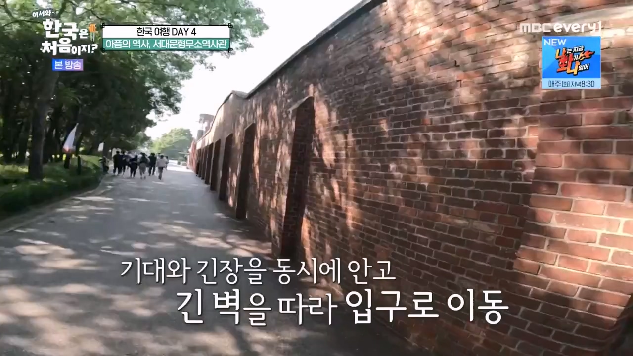 어서와 한국은 처음이지 시즌2.E276.230818p-NEXT.mp4_20230818_210032.783.jpg