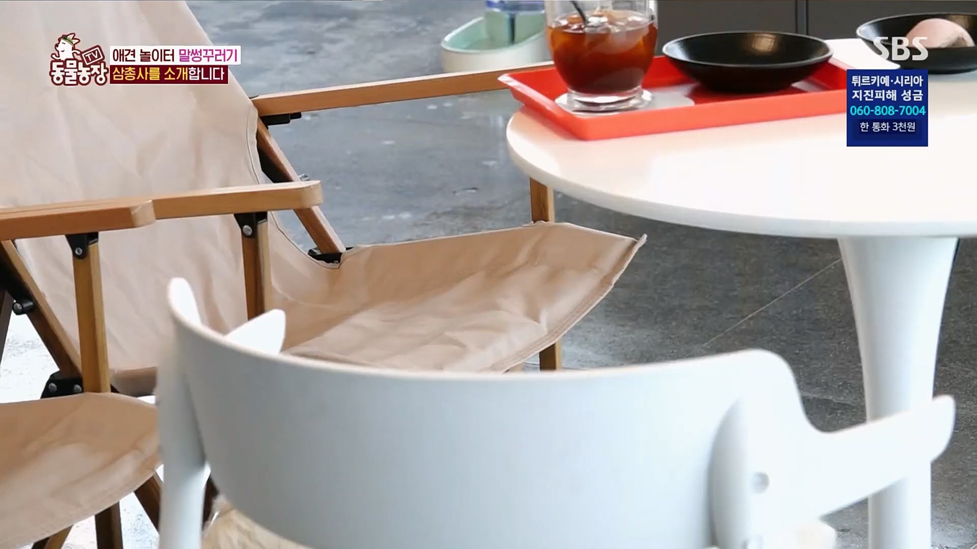 TV 동물농장.E1109.230219p.H264-F1RST.mp4_20230219_142819.553.jpg