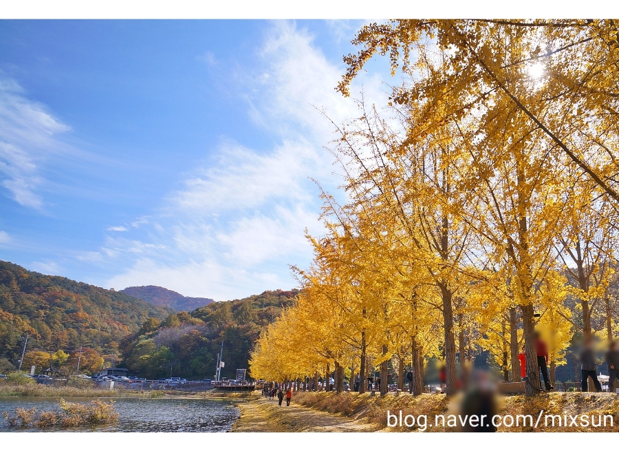 단풍구경 가볼만한 곳 괴산 가볼만한곳 4