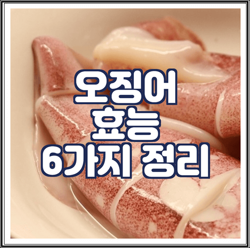  오징어 효능 6가지 정리