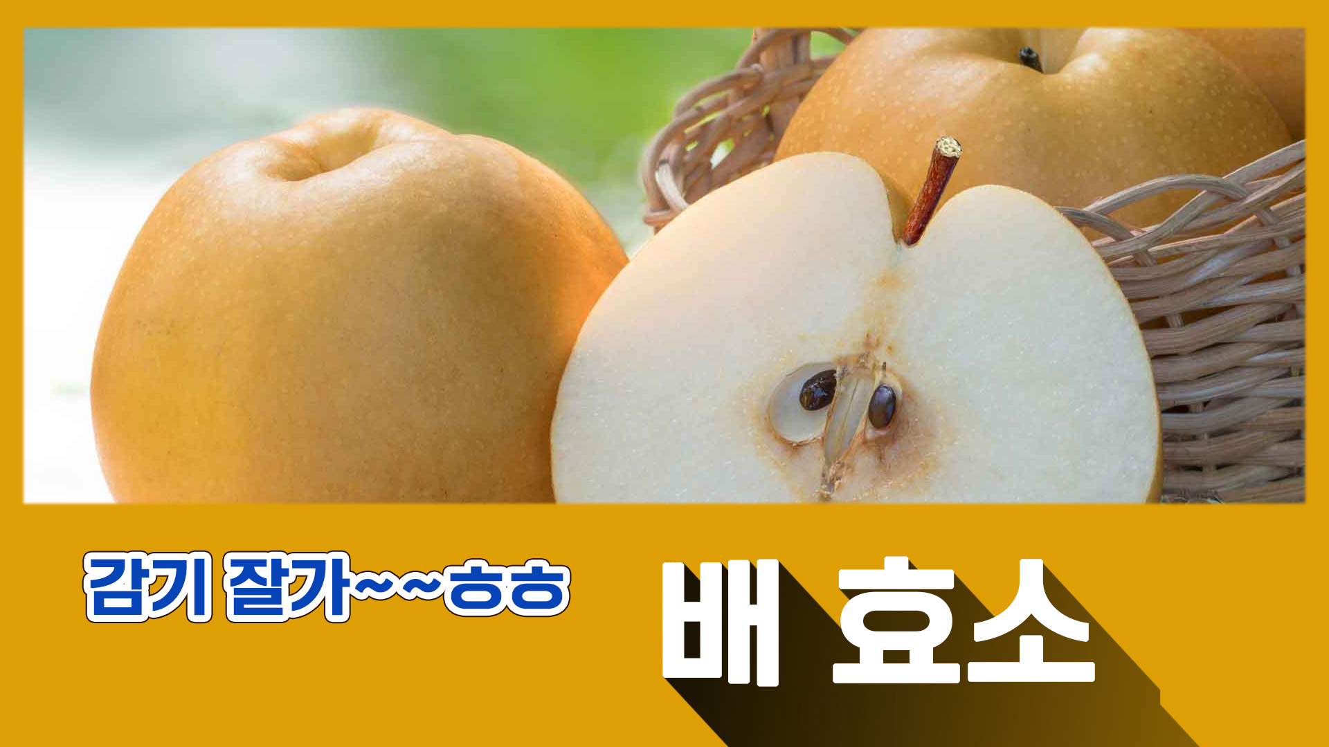  배의 효능은? 감기 잘 가~ 배 효소로 기관지 건강을 지켜요! 배 효소 만드는 방법!