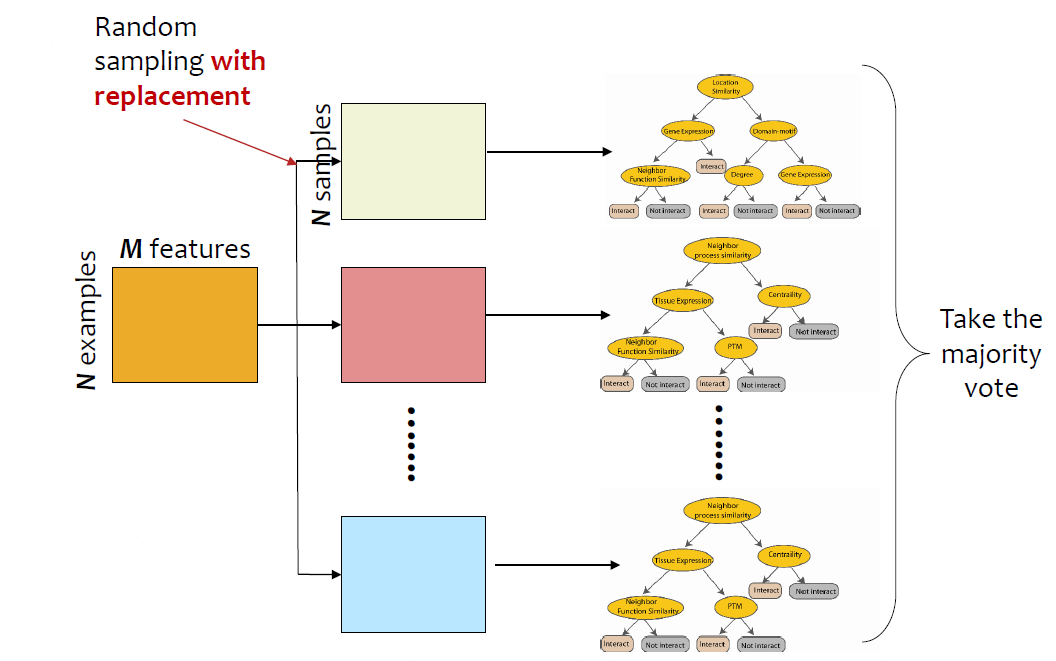 Illustrate of Random Forests