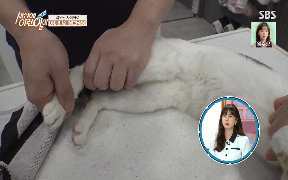 순간포착 세상에 이런일이.E1178.220504p-NEXT.mp4_20220504_180743.822.jpg