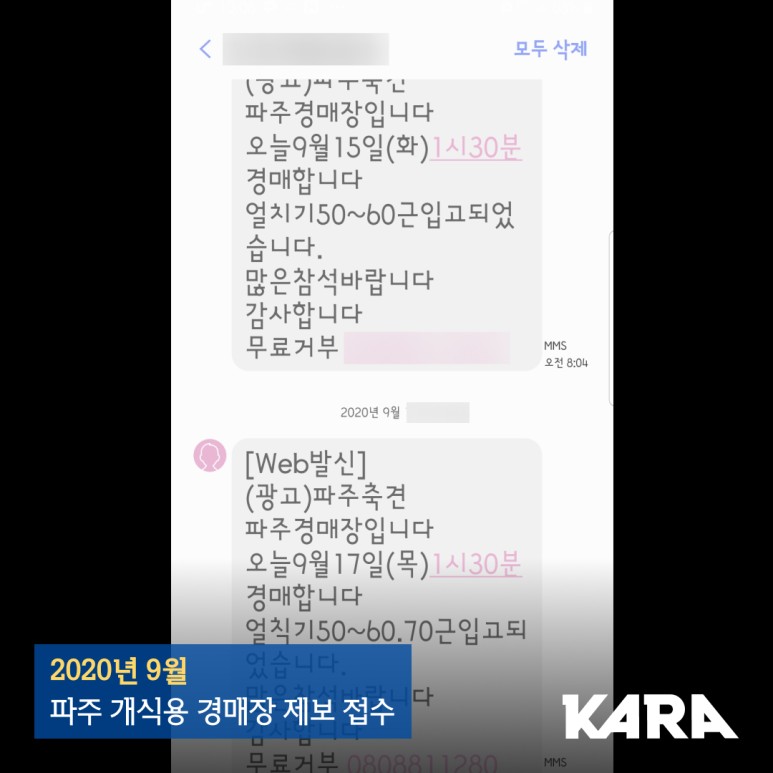 식용 [탄원참여요청] "파주경매장의 도살자들을 찾아서" _ 4