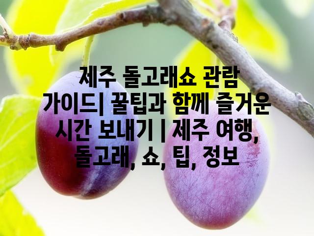 랜덤185