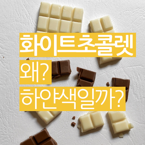  화이트 초콜릿은 왜 하얀가요?
