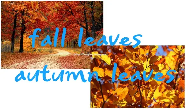 낙옆-영어-로-fall-autumn-leaves