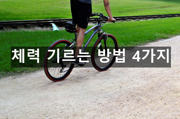  체력 기르는 방법 4가지