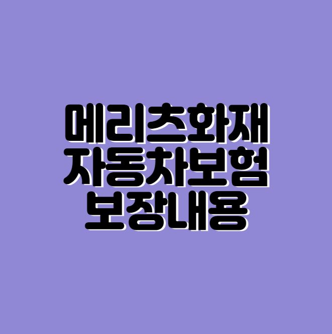 메리츠화재해상보험 보장내역